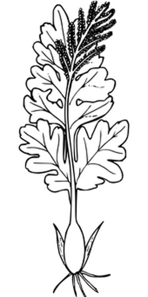 Simple Black Background: Ideal Placeholder for Design Projects Wallpaper