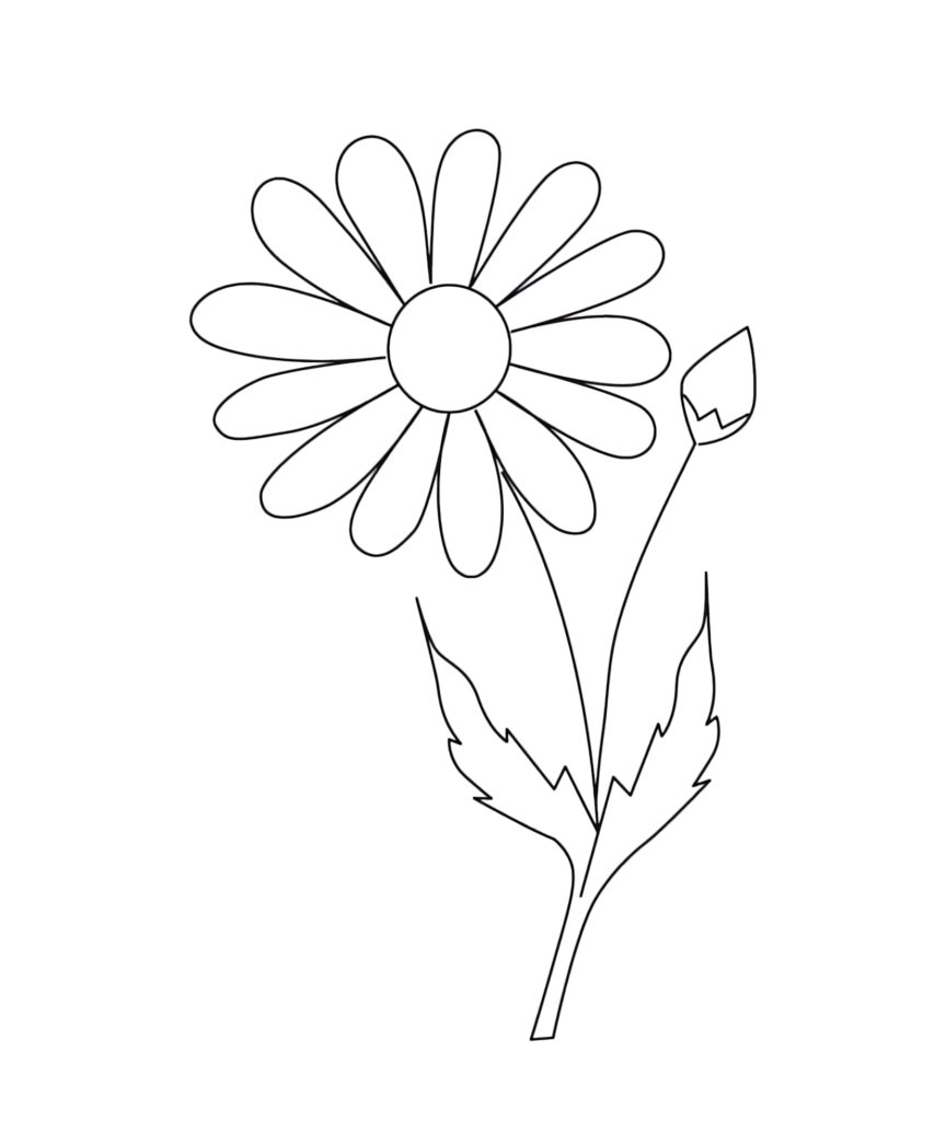 Coloring Page: Simple Black and White Daisy Flower Outline Wallpaper