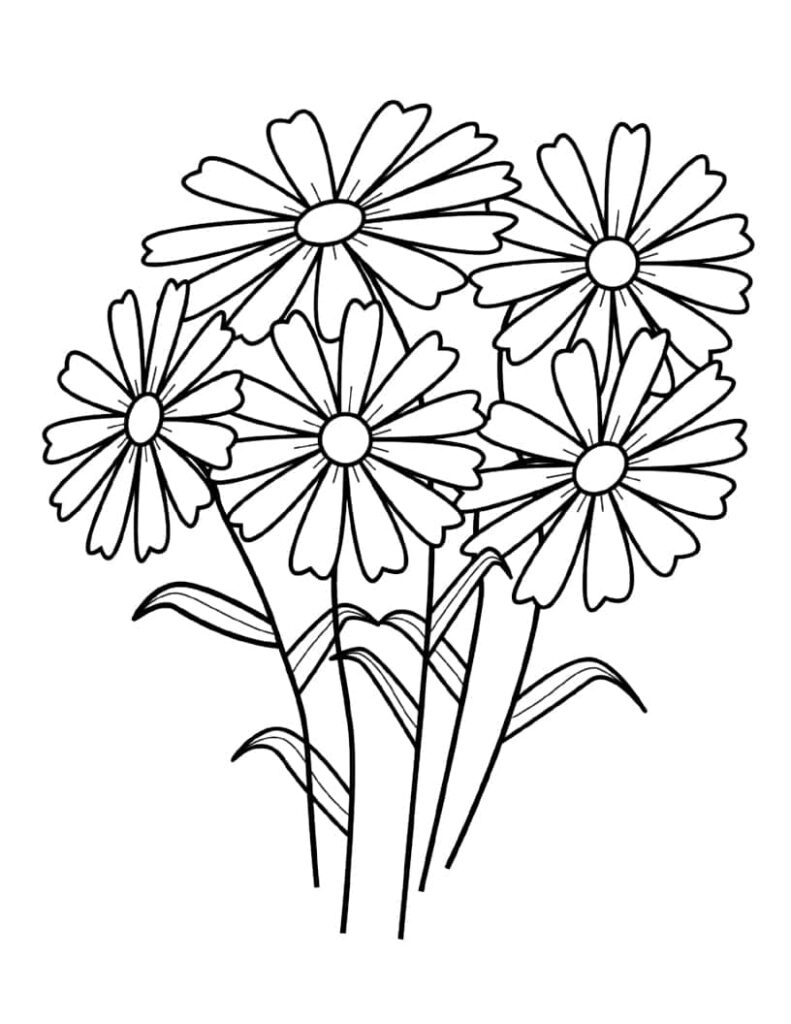 Coloring Page Bouquet: Daisy Blooms on Simple Background Wallpaper