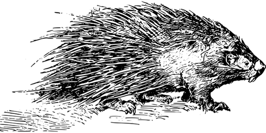 Simple Solid Black Wallpaper - Ideal Placeholder Background