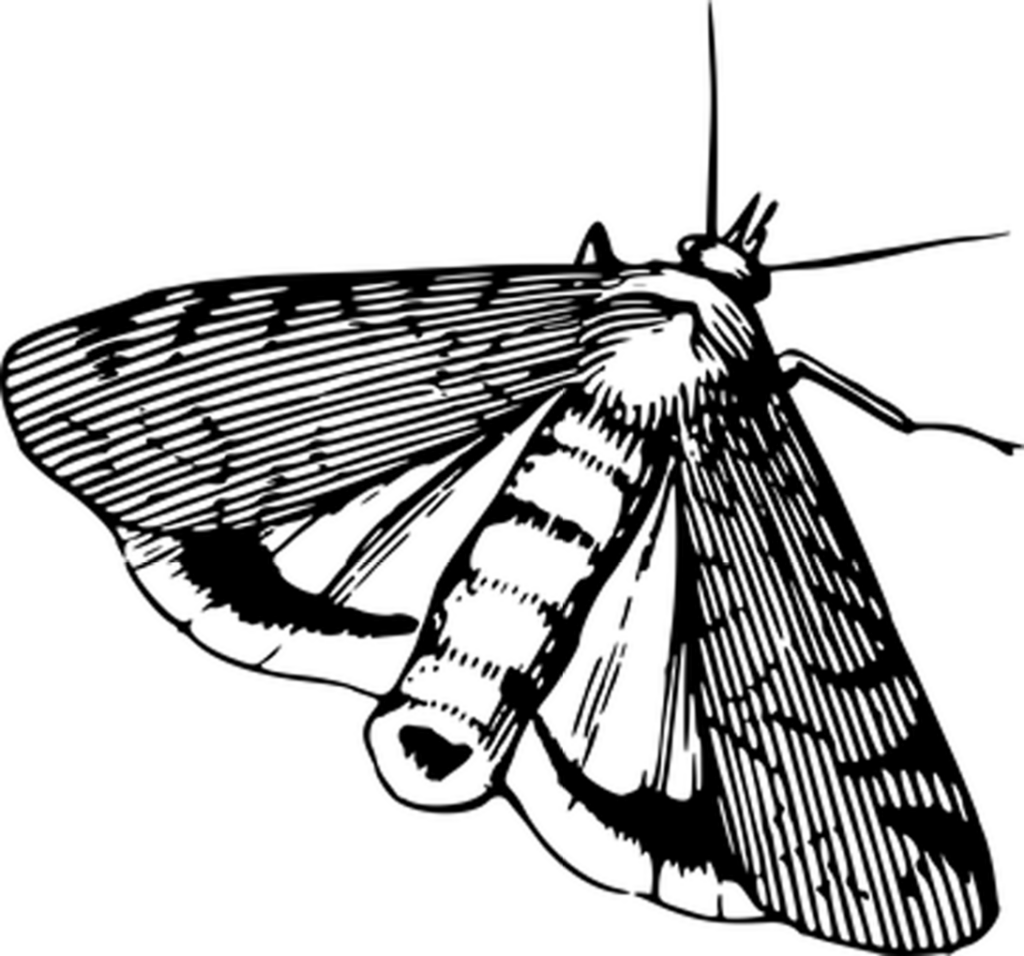 Solid Black Background: Perfect Template for Design & Editing Wallpaper