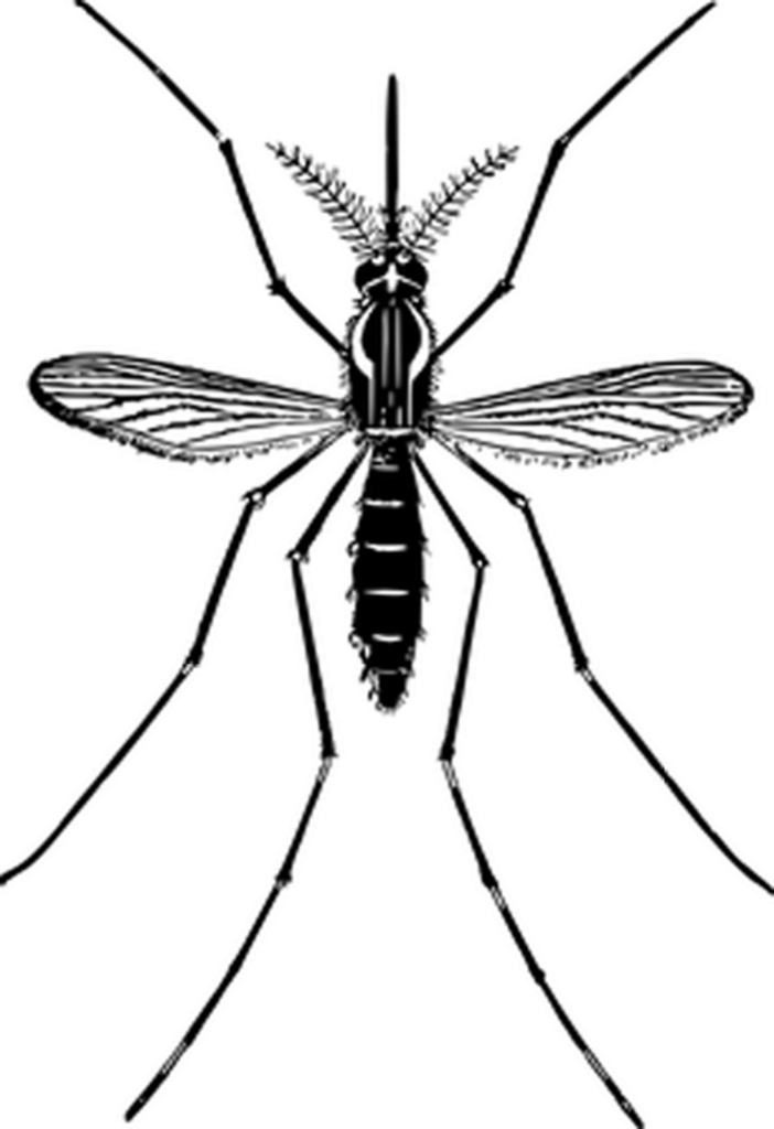 Simple Solid Black Wallpaper: Versatile Background for Any Use