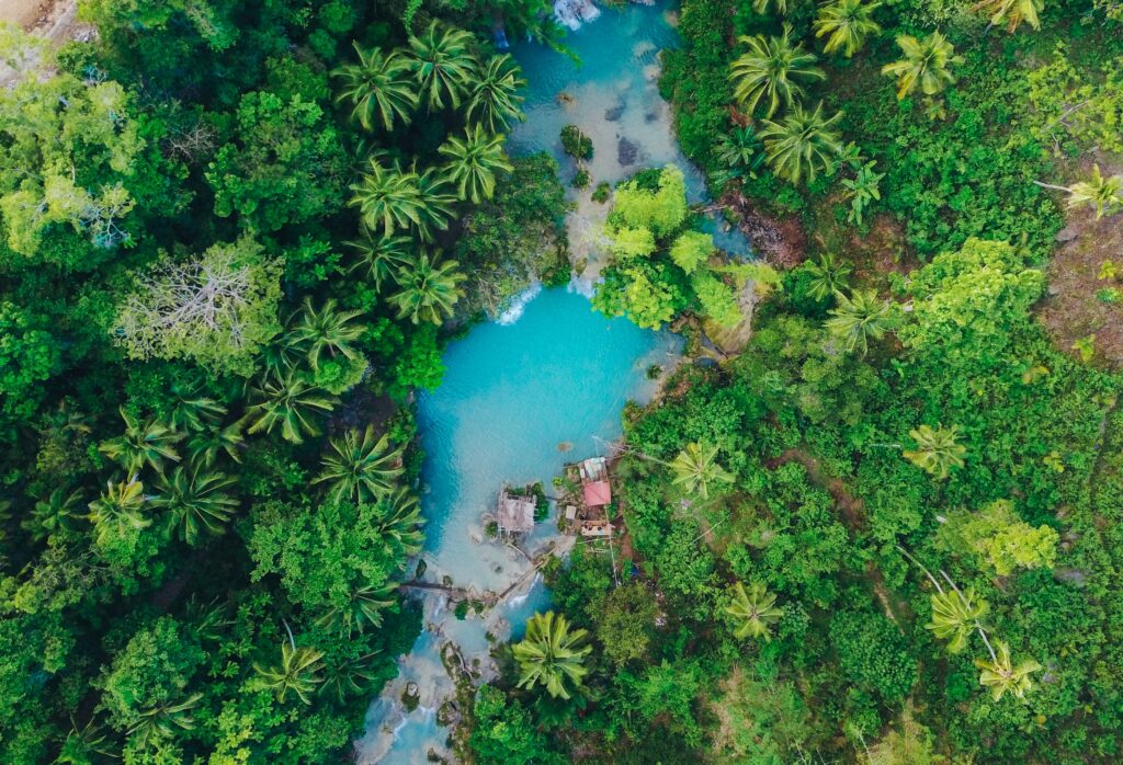 Top view of Siquijor Island tropical greenery palm trees and turquoise lagoon wallpaper background