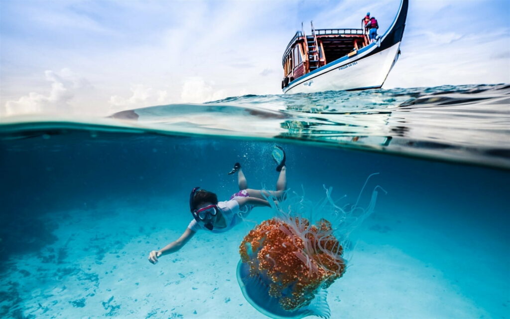 Enthralling Encounter: A Girl Diver Discovers Medusa's Enigmatic Realm in the Enchanting Underwater World Wallpaper