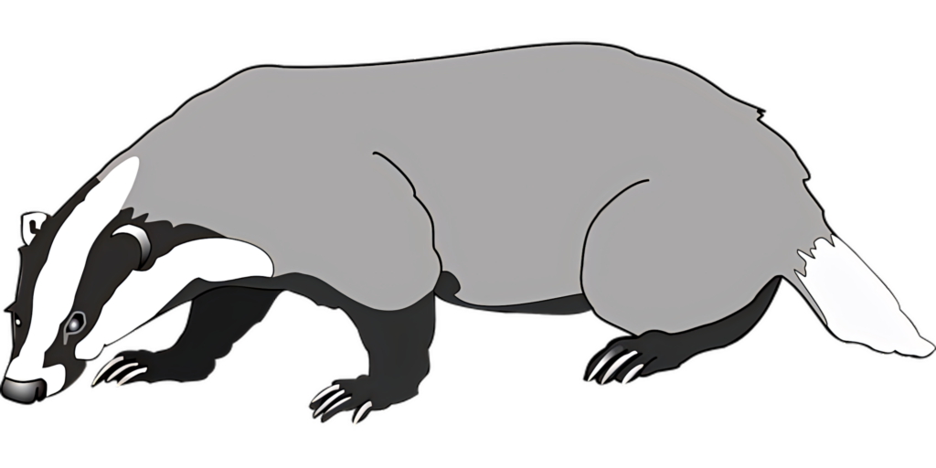 Minimalist Badger Wallpaper: Sleek Vector Graphic Design