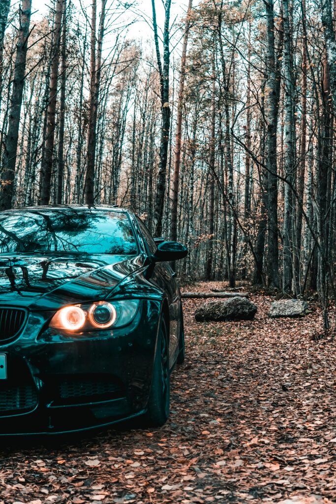 Stunning Black BMW Front View Amidst Serene Forest Background Wallpaper