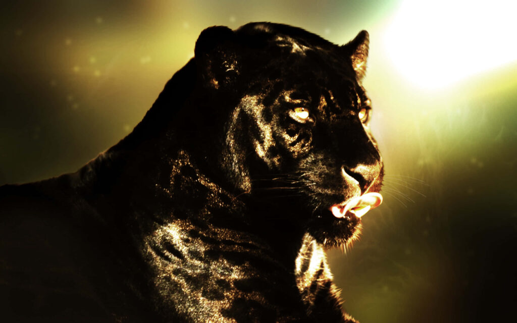Mesmerizing Black Panther Wallpaper: Captivating Light & Shadow