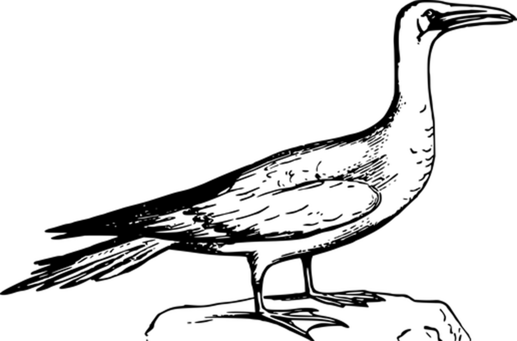 Sleek Black Screen Wallpaper: Elegant Minimalist Background