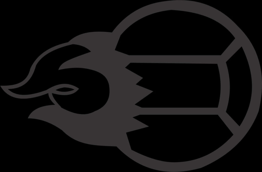 Sleek Black Volleyball Logo: Dynamic Curves & Geometric Wallpaper