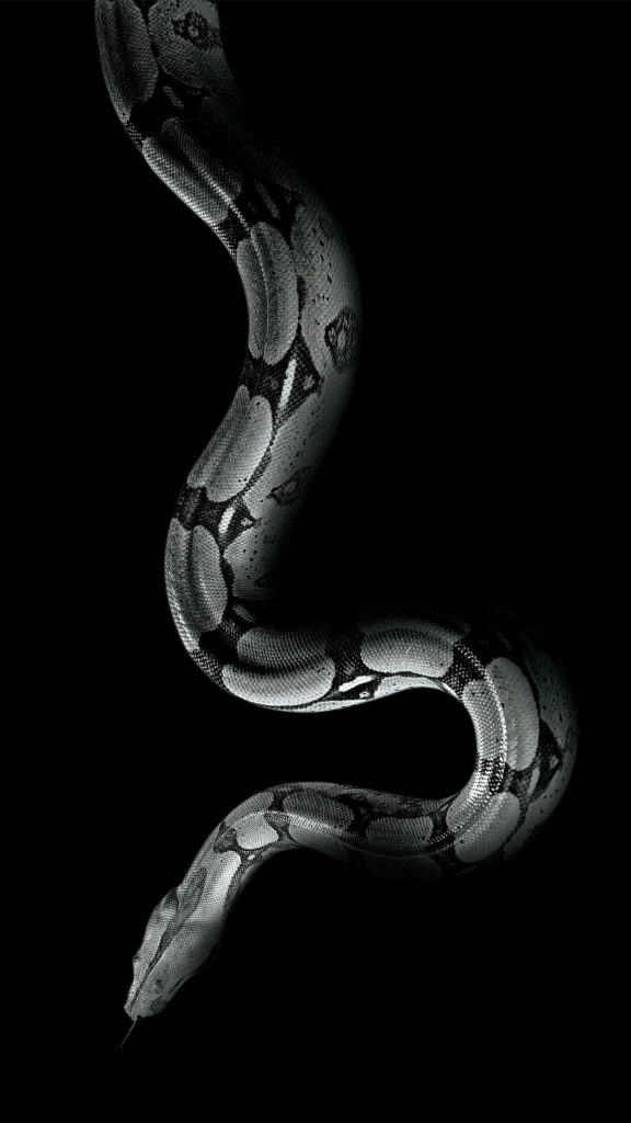Sleek Boa Constrictor Wallpaper: Elegant Patterns on Black Background