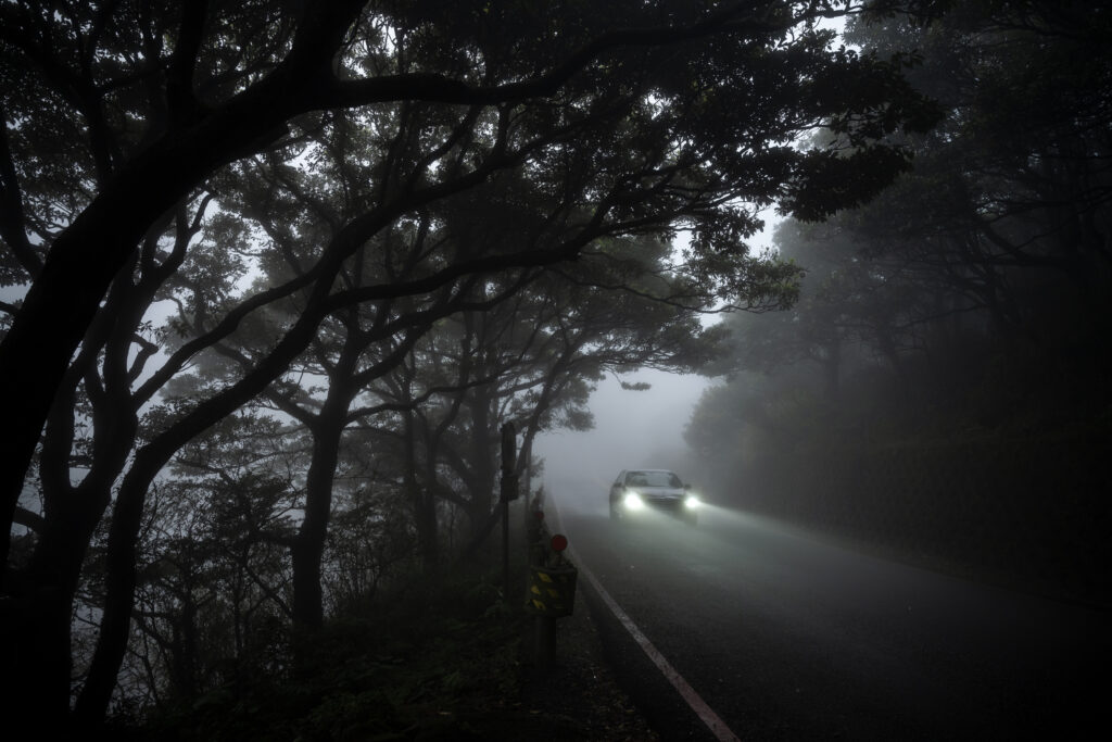 Mystical Drive: Sleek Car on Foggy Tree-Lined Road at Dusk Wallpaper