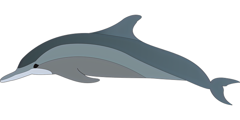 Sleek Dolphin Illustration Wallpaper: Minimalist Design & Elegance