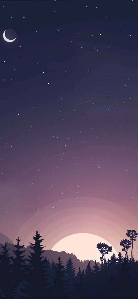 Sleek iPhone XR: A Minimalist's Delight in HD Wallpaper