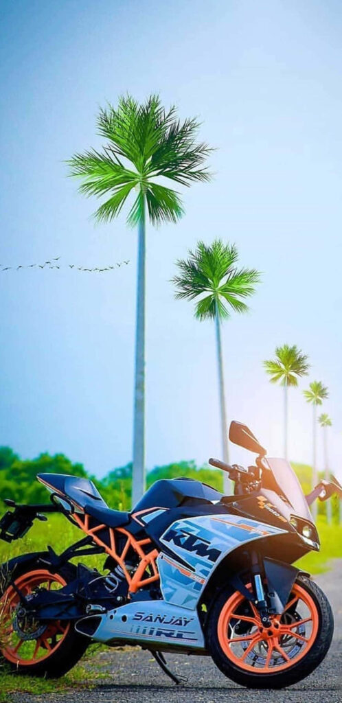 Sleek Motorcycle Wallpaper - Tranquil Road with Palm Trees