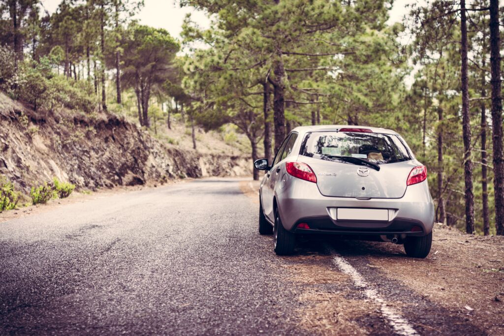Stunning Rear View of Silver Mazda 2 on Scenic Tree-Lined Road Wallpaper