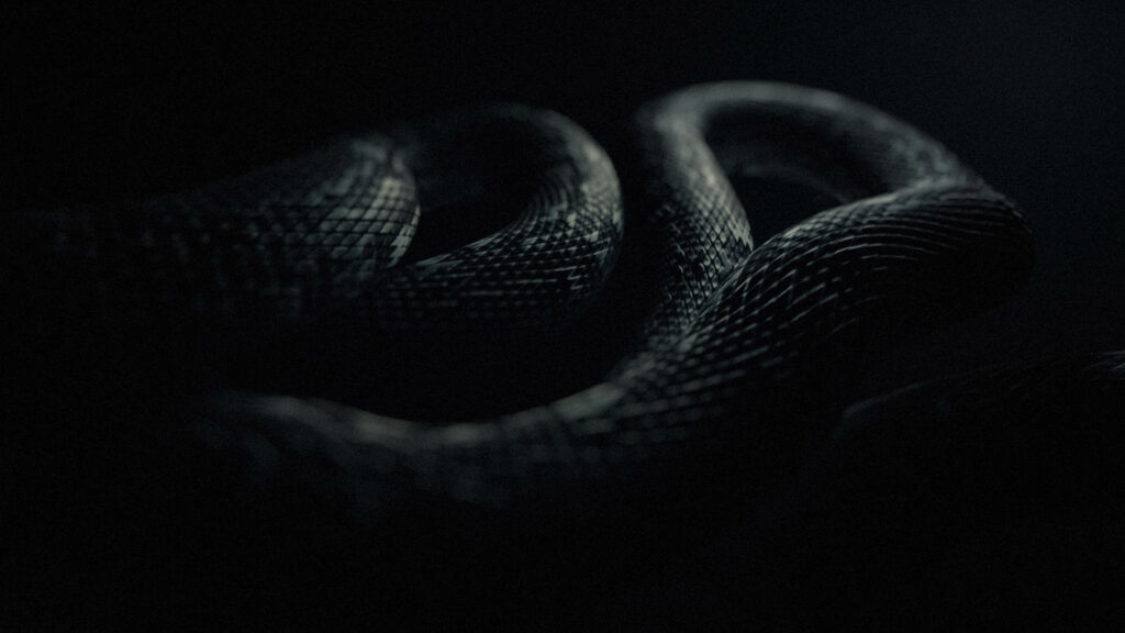 Hypnotic Beauty: Captivating Snapshot of a Resting Black Mamba amidst Enigmatic Darkness Wallpaper