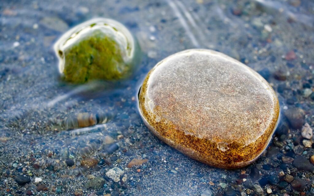 Smooth wet stones under clear water with natural textures and earthy tones wallpaper background