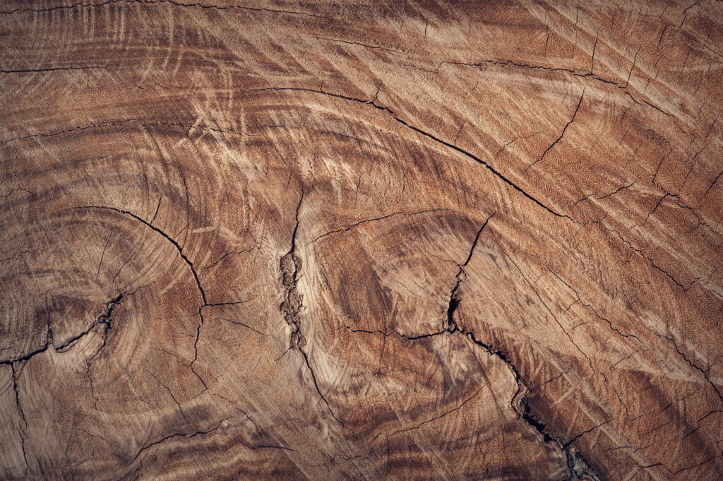 Close-up wooden cut section wallpaper with detailed grain patterns and rustic brown tones
