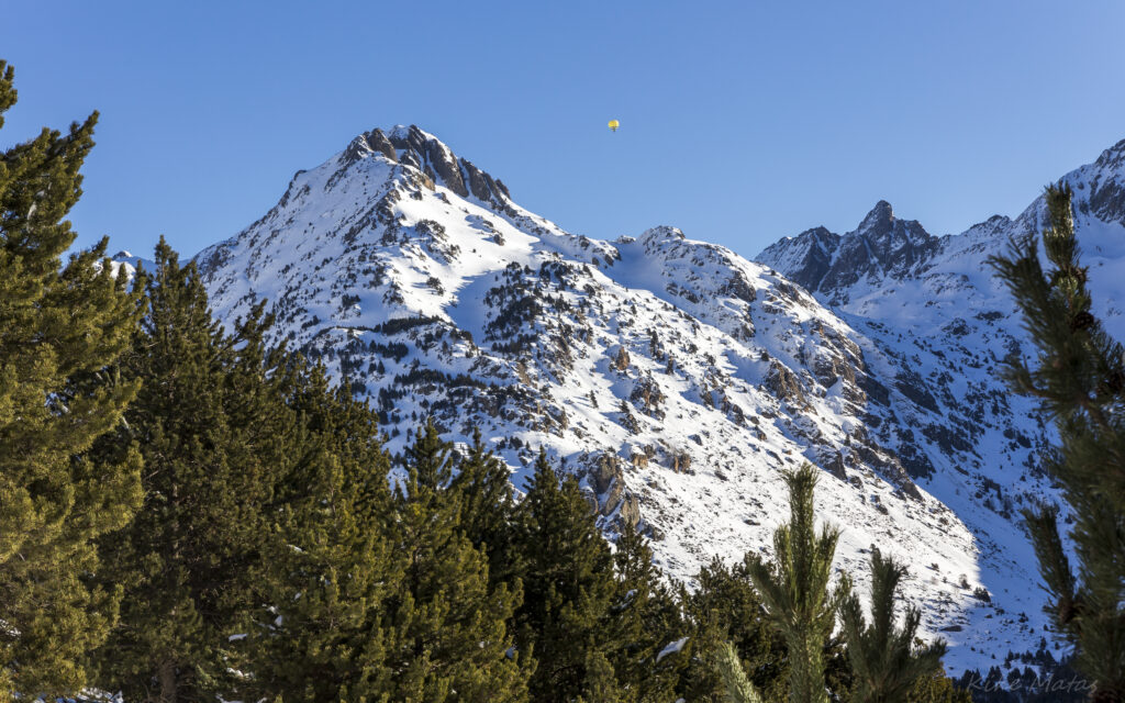 Snow-covered mountain peaks with dark green pine trees under a clear blue winter sky background Wallpaper