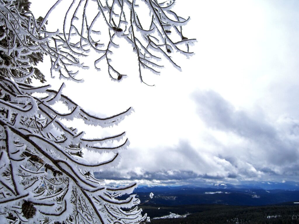 Snow-covered tree branches with bright cloudy sky and dark blue mountains winter landscape wallpaper