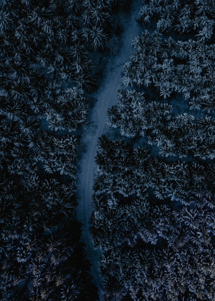 Aerial view of winding road through snow-dusted blue toned dense forest wallpaper background