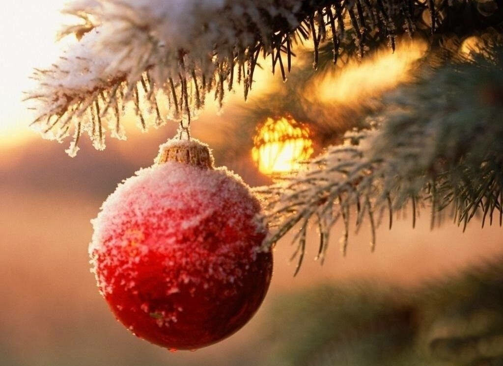 Snow-Dusted Red Ornament on Tree Branch: Festive Christmas Wallpaper
