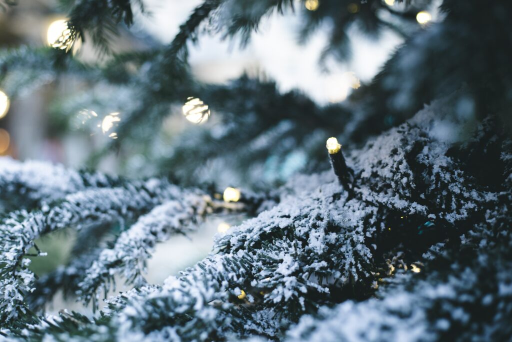 Festive Snow-Dusted Tree Wallpaper: 6720x4480 New Year Beauty