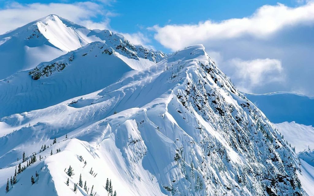Snow Mountain rugged snow-covered peaks sharp ridges alpine evergreens bright blue sky winter landscape Wallpaper