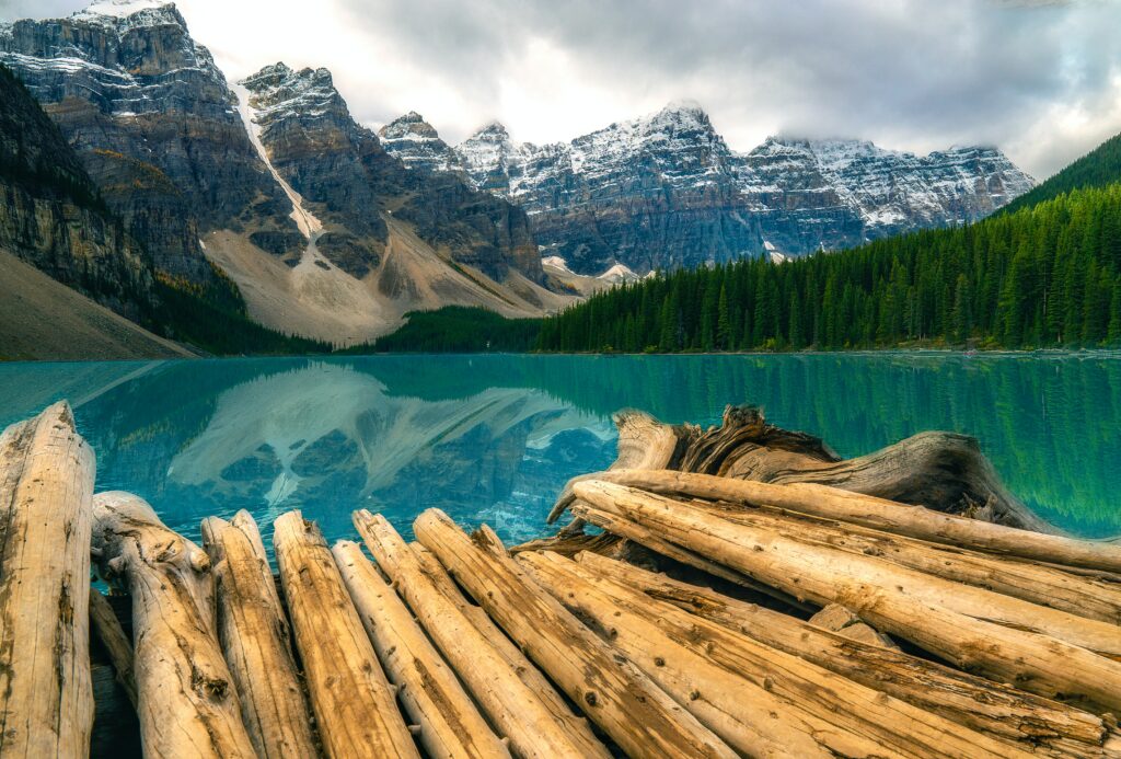 Snow-capped mountains and rugged rocks reflected in clear lake with pine forest and logs Wallpaper