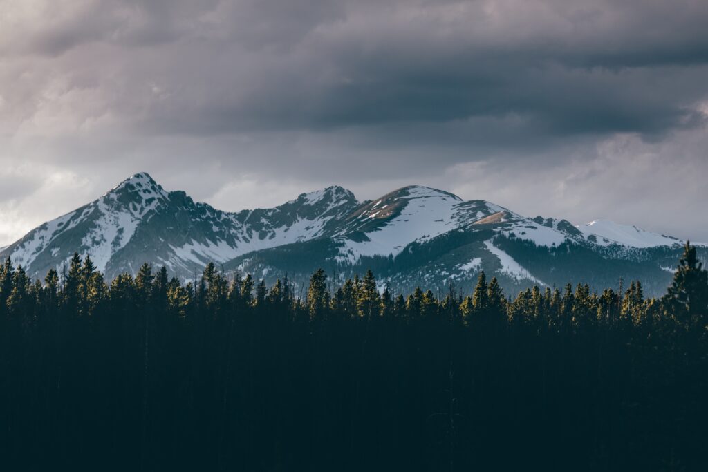 Snow-capped mountains towering over dense pine forest under dramatic cloudy sky wallpaper background
