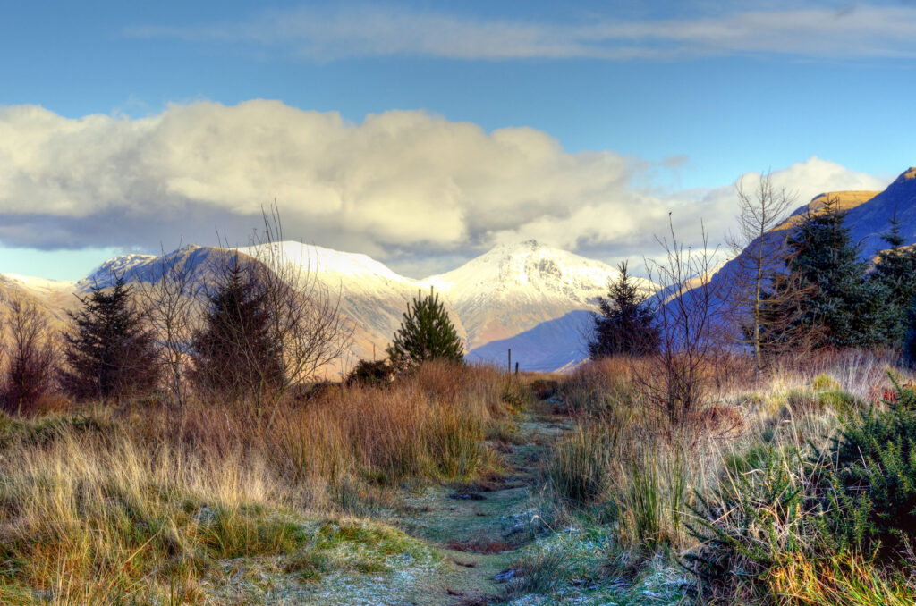 Snow-capped mountain with frosted grass and spruce trees under a bright clear winter sky wallpaper