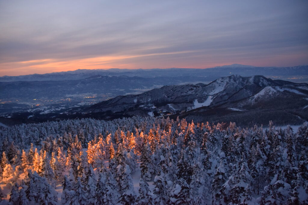 Snow-covered forest at dawn with tall trees soft orange light and distant sweeping mountains wallpaper