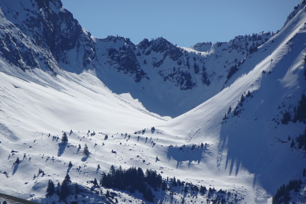 Snowy mountain peaks and slopes under clear blue sky with scattered alpine trees landscape wallpaper