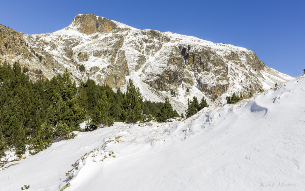 Snow-covered mountain with green forest and snowy slope under clear blue sky winter landscape wallpaper