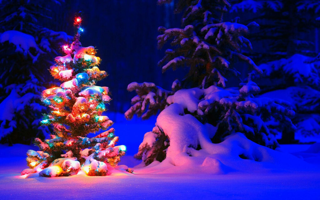 Small snow-dusted Christmas tree with colorful fairy lights in a deep blue winter forest background Wallpaper