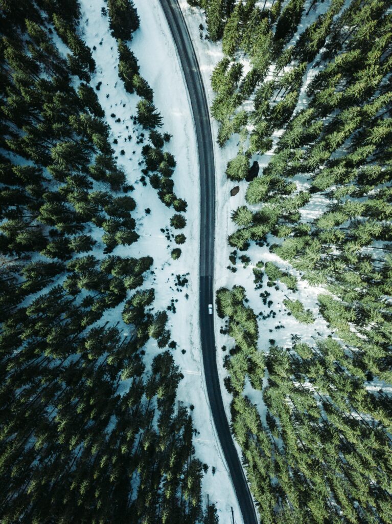 Aerial view of winding snow-covered forest road with tall green evergreen trees winter scene Wallpaper
