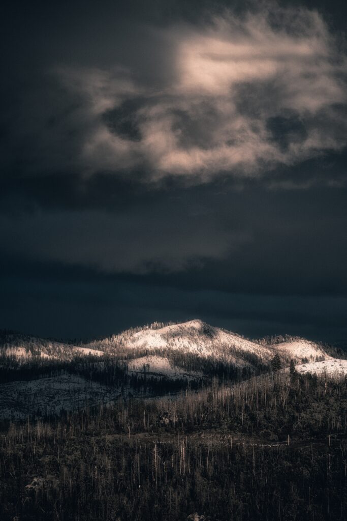 Snowy mountain peak above dense bare forest with soft light through moody clouds wallpaper