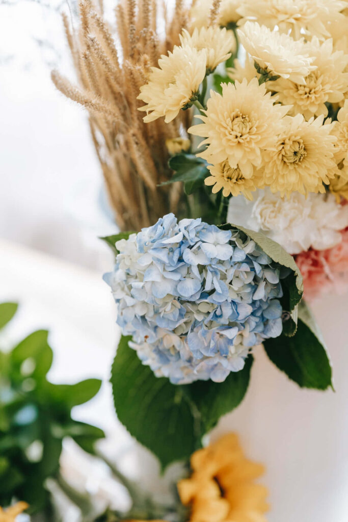 Elegant Soft Blue Hydrangeas & Green Leaves Wallpaper Background