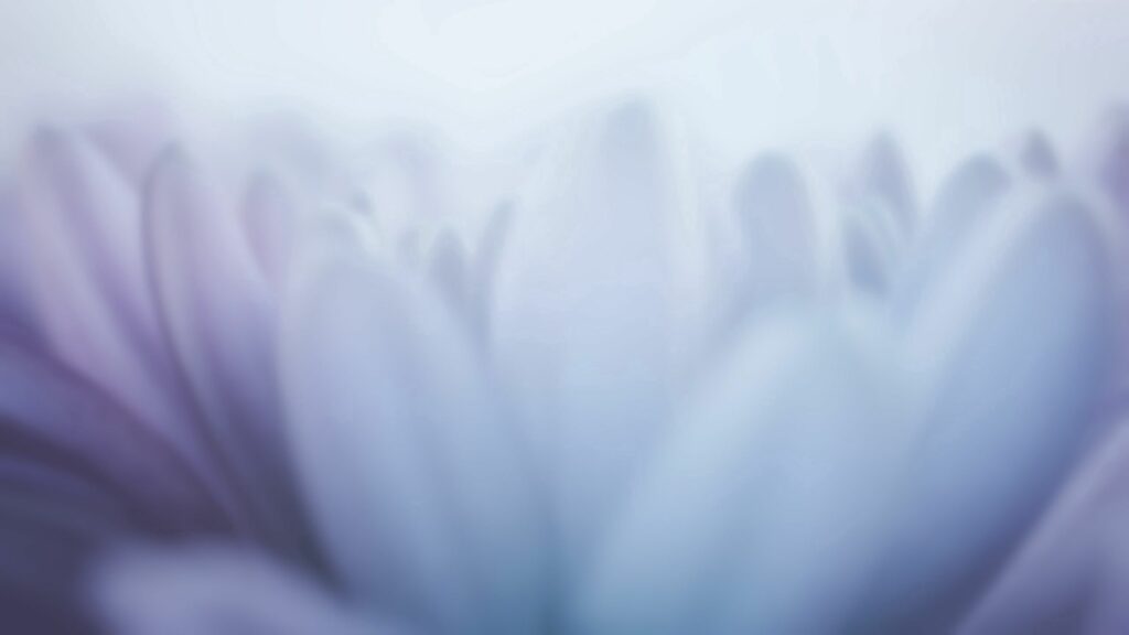 Soft Floral Wallpaper: Ethereal Light & Blurry Petals Background