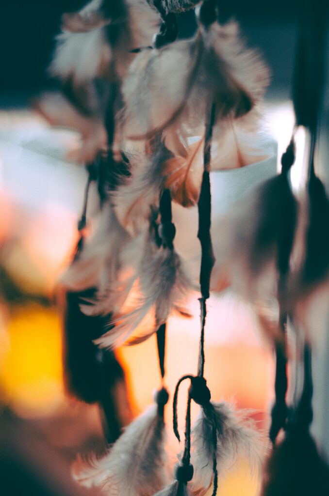 Soft Dreamy Macro Feathers Wallpaper - Blurred Warm Background