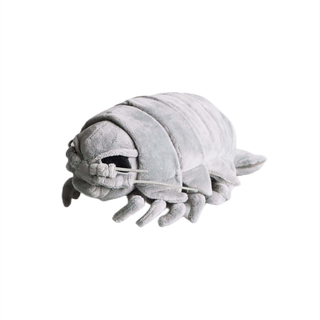 Soft grey giant isopod plush toy isolated on white studio background deep sea decor wallpaper