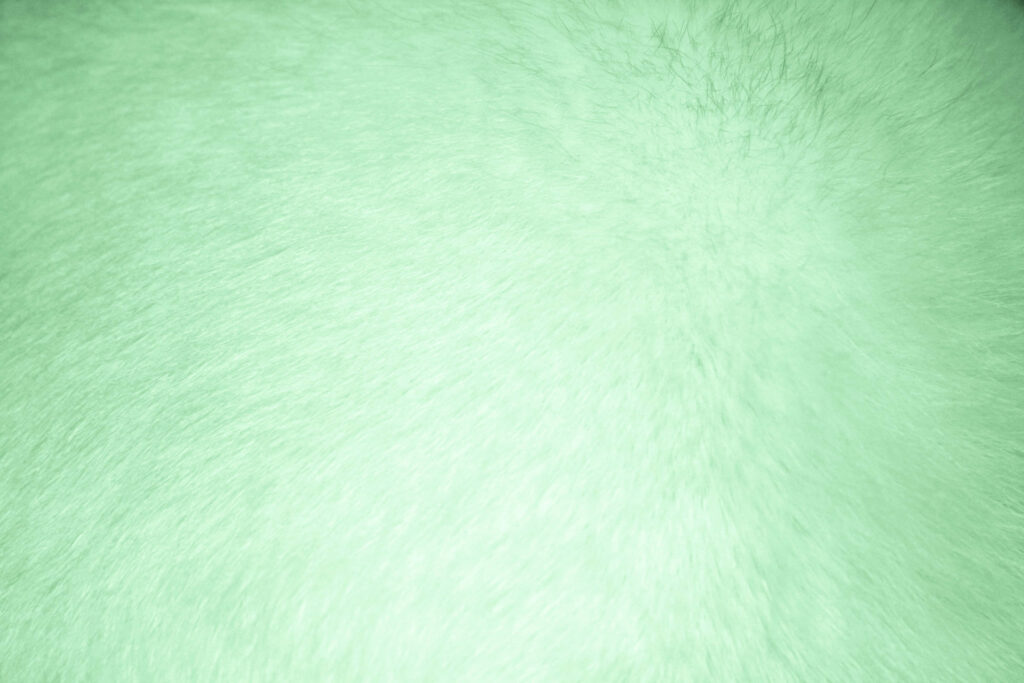 Soft Light Green Fur Texture for Nature-Inspired Wallpaper Background