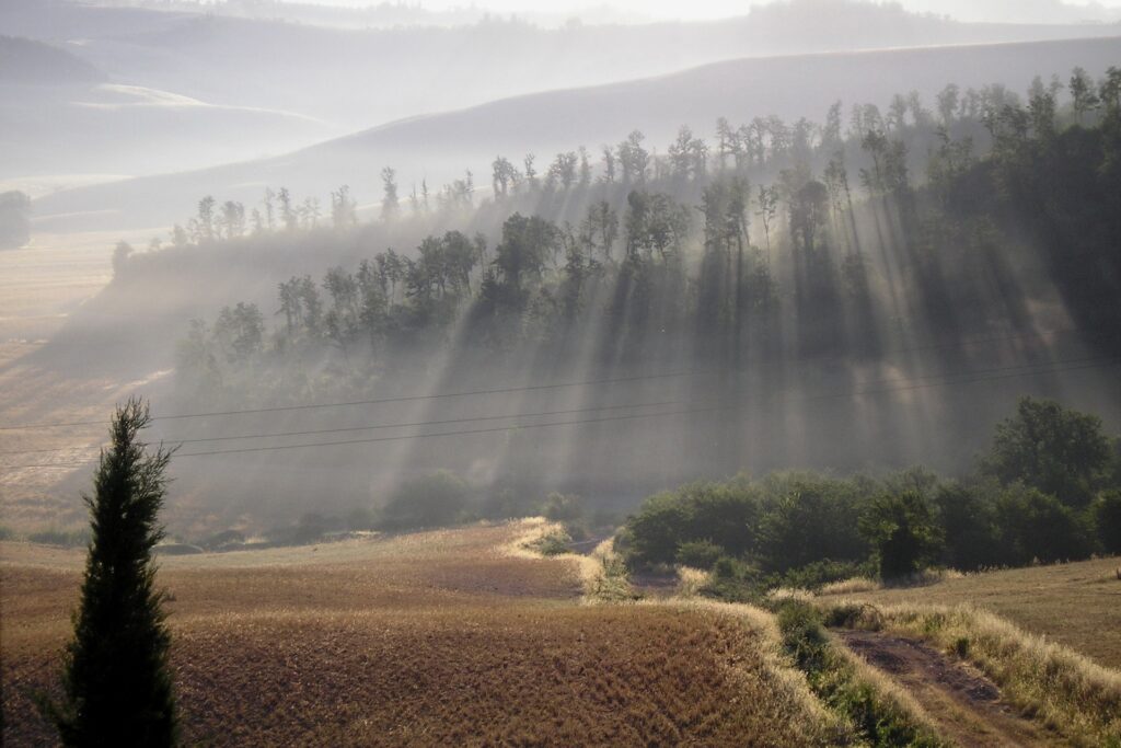 Soft morning sunlight through fog over rolling hills and golden field peaceful landscape wallpaper