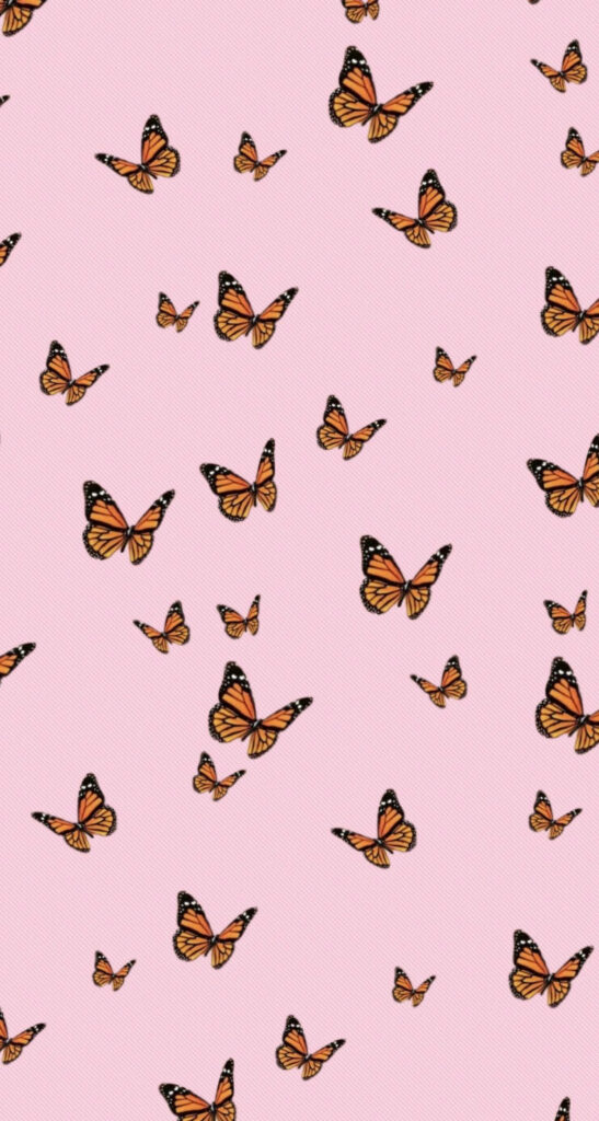Soft Pink Pastel Butterfly Wallpaper Background - Charming Decor