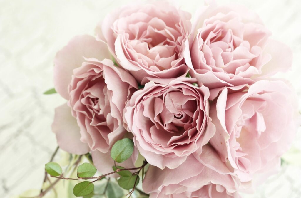 Elegant Soft Pink Rose Bouquet Wallpaper for a Calming Background