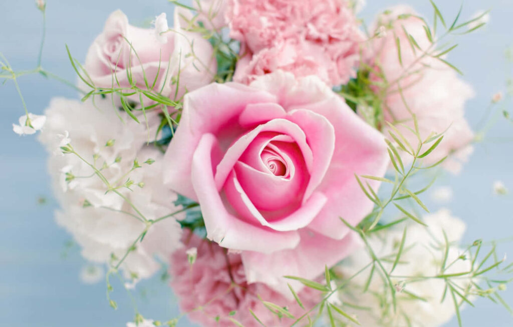 Soft Pink Roses and Greens on Gentle Blue Wallpaper Background