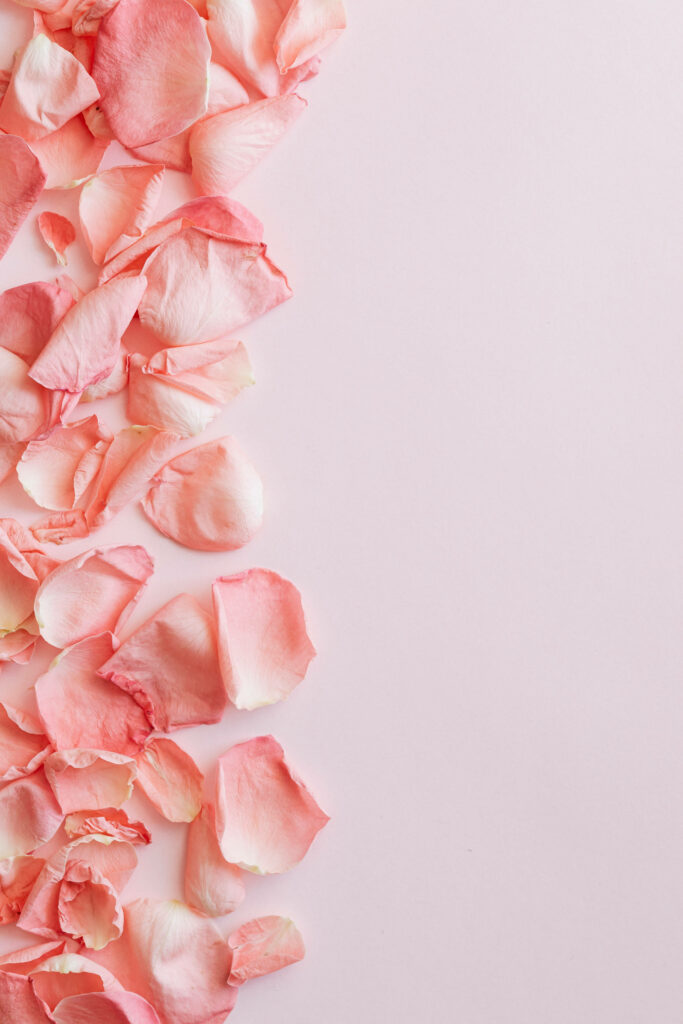 Soft and Serene: Mesmerizing Minimalist Pastel Rose Petal Wallpaper for Phone Screens