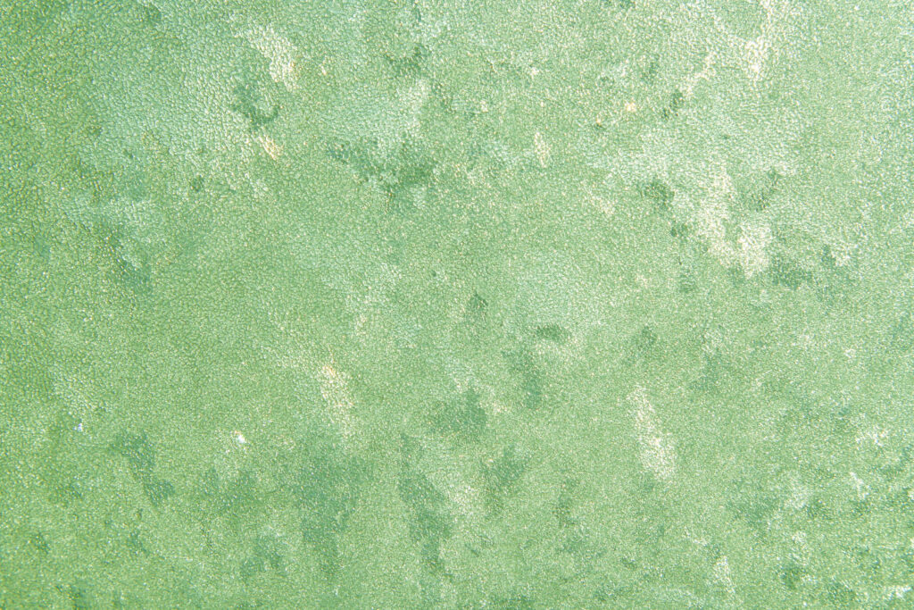 Calming Green Textured Wallpaper Background with Subtle Variations