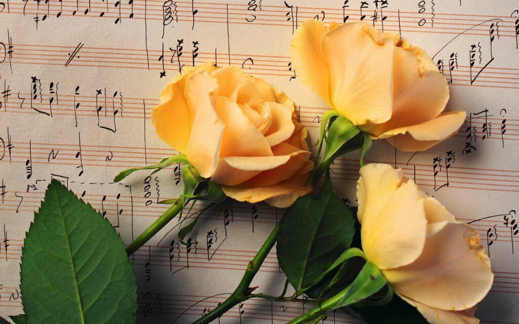 Soft Yellow Roses on Musical Notes Wallpaper - Nature & Music Blend