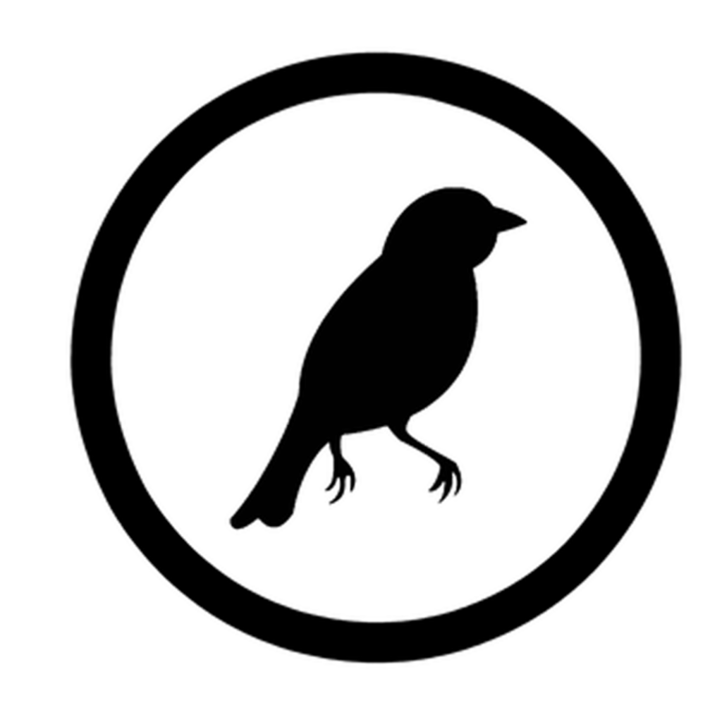 Solid Black Placeholder Background for Digital Designs Wallpaper